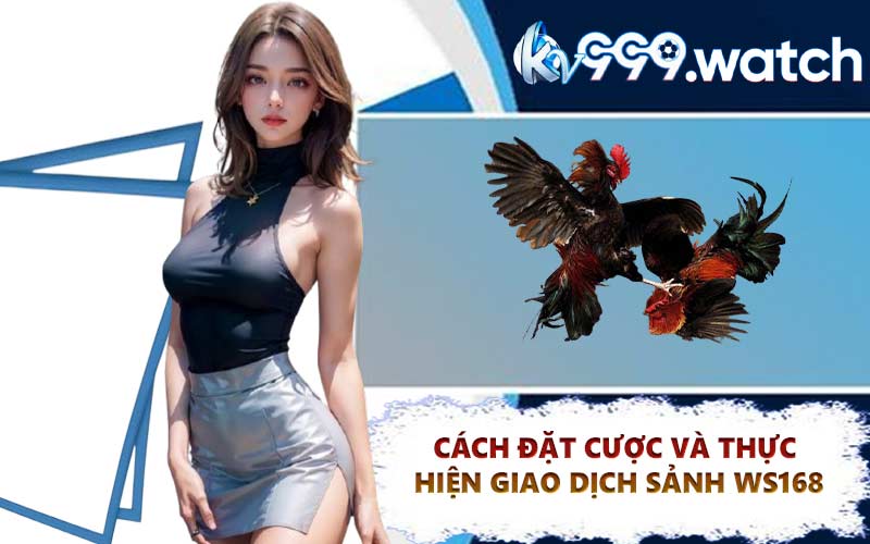 Cách nhận biết chiến kê sở hữu thế đá xạ thượng thừa