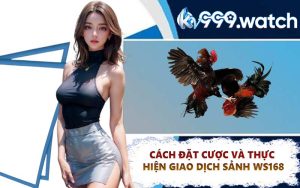 Cách Đặt Cược và Thực Hiện Giao Dịch Sảnh WS168