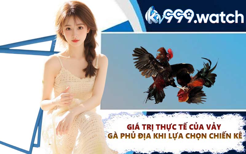 Giá trị thực tế của vảy gà phủ địa khi lựa chọn chiến kê