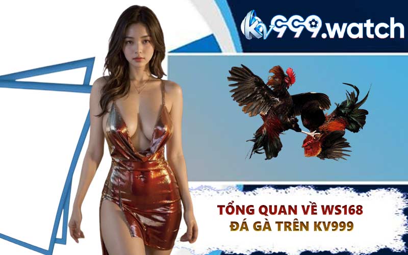 Tổng quan về WS168 đá gà